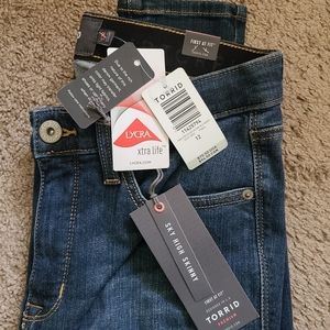 Torrid skinny jeans